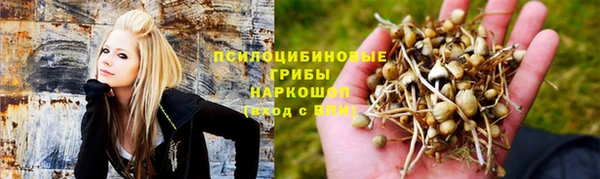 марихуана Баксан